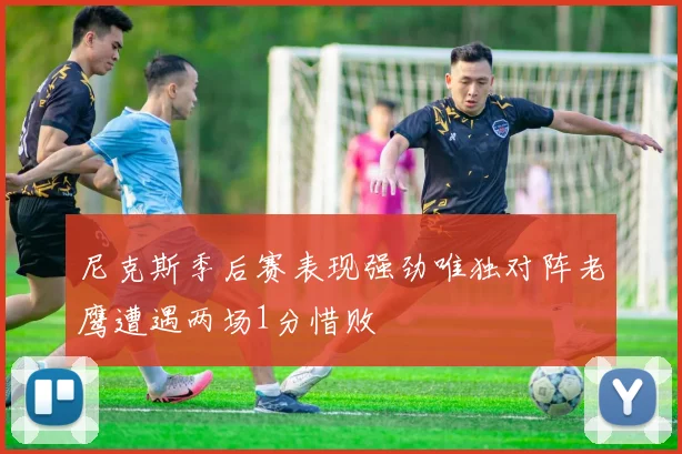 尼克斯季后赛表现强劲唯独对阵老鹰遭遇两场1分惜败