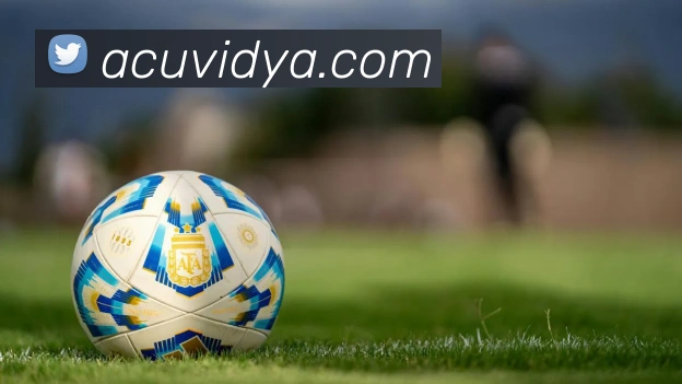 AI Risk Control